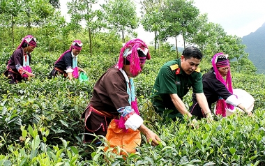Nhận diện các yếu tố ảnh hưởng đến phát triển kinh tế trên địa bàn các khu kinh tế quốc phòng ở Việt Nam