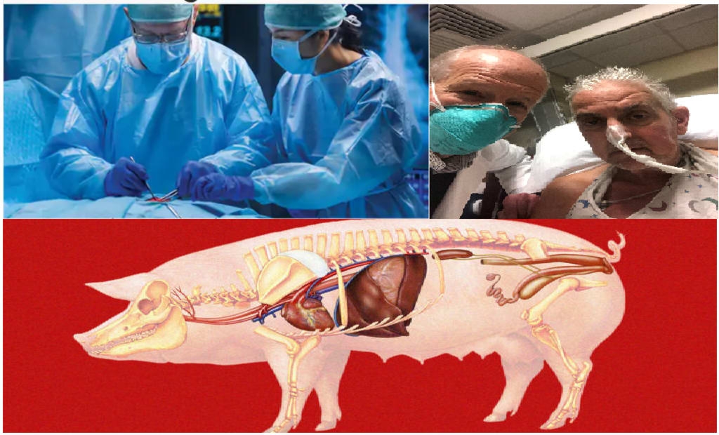 Ngành khoa học biến đổi gen tạo nên những kỳ vọng lạ lùng cho thế giới