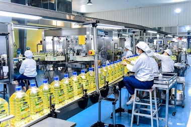 Giải pháp phát triển doanh nghiệp tư nhân của Việt Nam trong bối cảnh mới