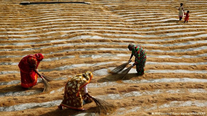 Học các quốc gia thông minh cách duy trì hệ thống lương thực bền vững Học các quốc gia thông minh cách duy trì hệ thống lương thực bền vững