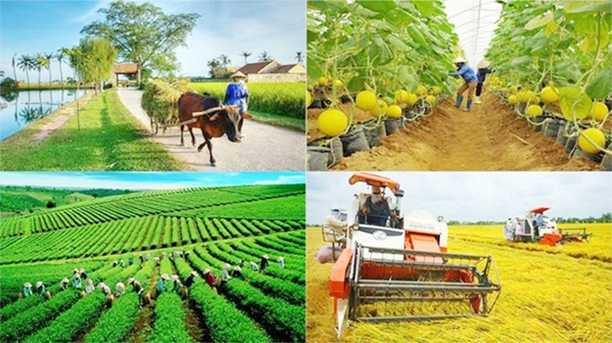 Đẩy mạnh phân cấp quản lý, tổ chức thực hiện các Chương trình mục tiêu quốc gia Đẩy mạnh phân cấp quản lý, tổ chức thực hiện các Chương trình mục tiêu quốc gia
