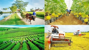 Đẩy mạnh phân cấp quản lý, tổ chức thực hiện các Chương trình mục tiêu quốc gia