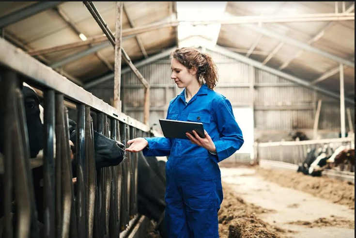 Cách chuyển đổi số trong nông nghiệp của Israel và hàm ý ứng dụng cho Việt Nam
