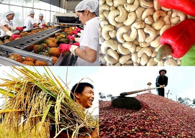 Xuất khẩu nông sản hậu EVFTA: Thực tiễn và giải pháp