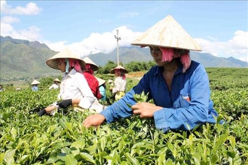 Quy trình rà soát hộ nghèo, hộ cận nghèo hàng năm