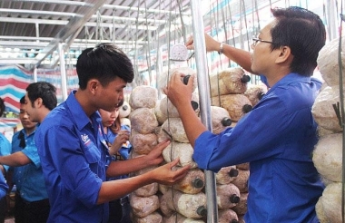 Phê duyệt Chương trình “Hỗ trợ thanh niên khởi nghiệp”