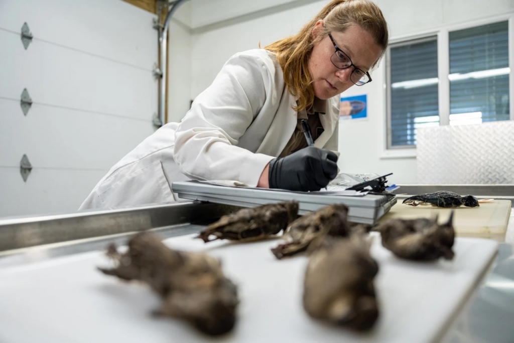 Những hình ảnh khoa học đẹp nhất tháng 7 Những hình ảnh khoa học đẹp nhất tháng 7