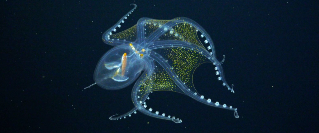 Đầm phá màu hồng và các thiên hà kỳ dị - những hình ảnh khoa học đẹp nhất tháng 7 Đầm phá màu hồng và các thiên hà kỳ dị - những hình ảnh khoa học đẹp nhất tháng 7