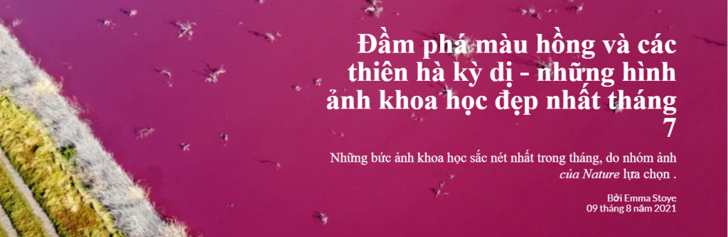 Đầm phá màu hồng và các thiên hà kỳ dị - những hình ảnh khoa học đẹp nhất tháng 7 Đầm phá màu hồng và các thiên hà kỳ dị - những hình ảnh khoa học đẹp nhất tháng 7
