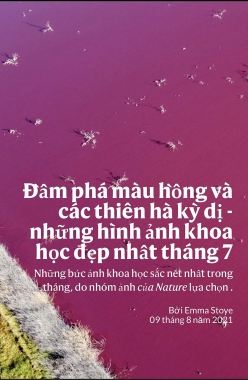 Những hình ảnh khoa học đẹp nhất tháng 7