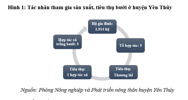 Vai trò của liên kết trong sản xuất nông nghiệp - Nhìn từ mô hình phát triển cây bưởi ở huyện Yên Thủy, tỉnh Hòa Bình Vai trò của liên kết trong sản xuất nông nghiệp - Nhìn từ mô hình phát triển cây bưởi ở huyện Yên Thủy, tỉnh Hòa Bình