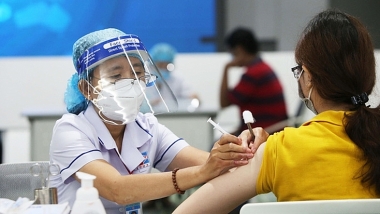 Bộ Y tế nghiêm cấm mọi hành vi thu phí, trục lợi từ tiêm vaccine phòng COVID-19