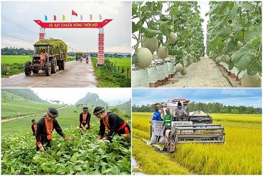 Triển khai Chương trình mục tiêu quốc gia giảm nghèo bền vững giai đoạn 2021-2025