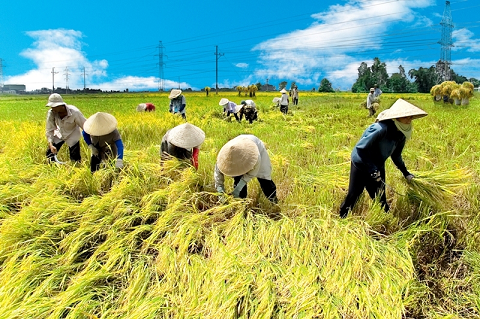 Tiếp tục đổi mới, phát triển kinh tế tập thể, hợp tác xã ở nước ta trong thời gian tới