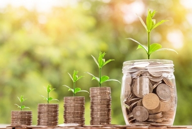 Đổi mới cơ cấu và chính sách thu ngân sách nhà nước phục vụ mục tiêu tăng trưởng bền vững giai đoạn 2021-2025