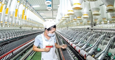 Giai đoạn 2016-2020, tốc độ tăng doanh nghiệp bình quân là 7,9%