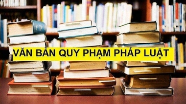 Bộ KHĐT chủ trì soạn thảo 2 văn bản quy định chi tiết các luật mới được Quốc hội thông qua