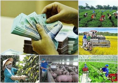 Còn 8/52 địa phương giải ngân dưới 20% hoặc chưa giải ngân vốn chương trình mục tiêu quốc gia