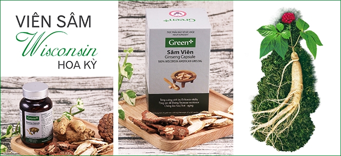 CEO Đặng Đức Thành và hành trình hơn 25 năm đi tìm và phát triển nhân sâm Wisconsin Hoa Kỳ CEO Đặng Đức Thành và hành trình hơn 25 năm đi tìm và phát triển nhân sâm Wisconsin Hoa Kỳ