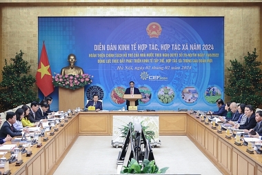 Các chính sách hỗ trợ phát triển kinh tế tập thể, hợp tác xã chưa thực sự phát huy hiệu quả