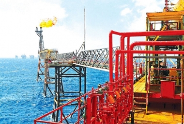Chính phủ quyết nghị một số nội dung của dự án Luật Thanh tra, Luật Dầu khí