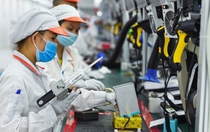 Đến 2030, tăng 50% số tập đoàn thuộc Top 500 thế giới đầu tư vào Việt Nam Đến 2030, tăng 50% số tập đoàn thuộc Top 500 thế giới đầu tư vào Việt Nam