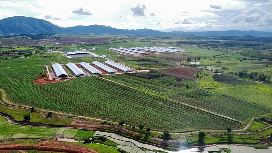 7 tháng đầu năm, vốn đăng ký đầu tư ra nước ngoài của Việt Nam tăng gấp 2,2 lần 7 tháng đầu năm, vốn đăng ký đầu tư ra nước ngoài của Việt Nam tăng gấp 2,2 lần