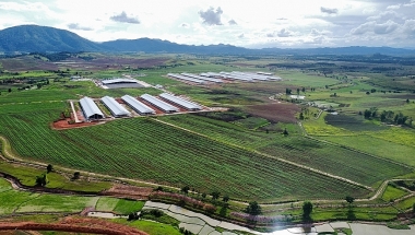 7 tháng đầu năm, vốn đăng ký đầu tư ra nước ngoài của Việt Nam tăng gấp 2,2 lần