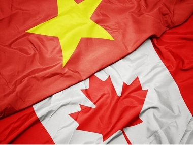 8 tháng đầu năm, doanh nghiệp Việt Nam đã đầu tư ra nước ngoài gần 416,34 triệu USD