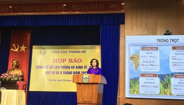 GDP 9 tháng năm 2022 tăng 8,83%, cao nhất của 9 tháng trong giai đoạn 2011-2022