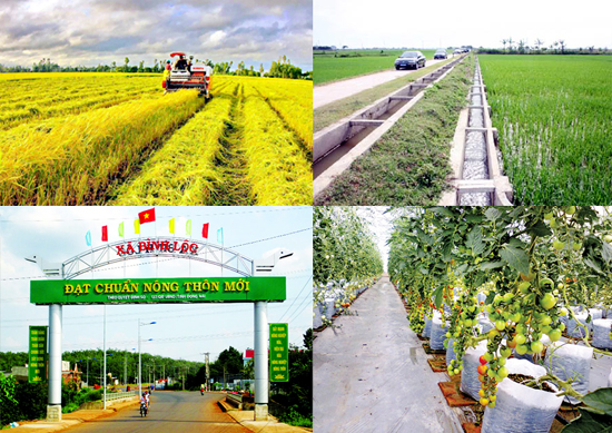 Bức tranh nông thôn mới hiện nay: Thế nào?