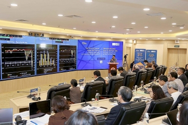 Phản ứng tài khóa của Việt Nam đối với đại dịch là chưa đủ!