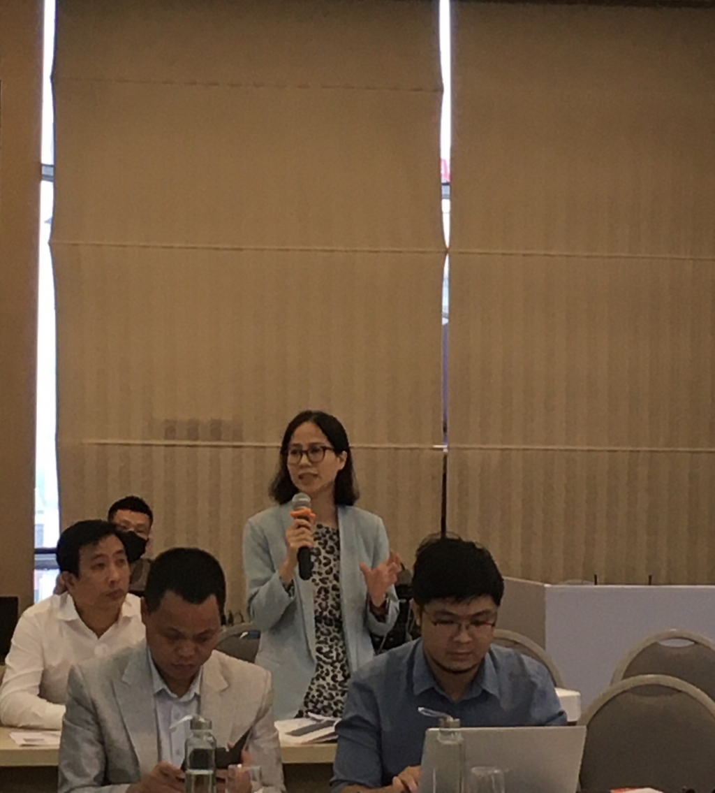 VCCI quan ngại về tình trạng “luật ống”, “luật khung” quay trở lại VCCI quan ngại về tình trạng “luật ống”, “luật khung” quay trở lại