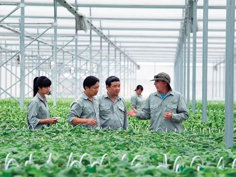 Còn nhiều vấn đề trong chuyển đổi dữ liệu đăng ký hợp tác xã