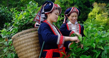 Hỗ trợ, tăng quyền làm chủ kinh tế cho phụ nữ dân tộc thiểu số