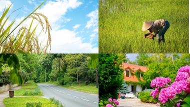 Quốc hội yêu cầu ra soát, sửa đổi các tiêu chí, chỉ tiêu trong Bộ tiêu chí nông thôn mới các cấp