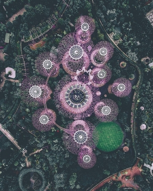 Singapore khác lạ đến ngỡ ngàng