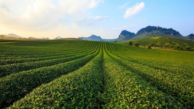 Nét đẹp Mộc Châu