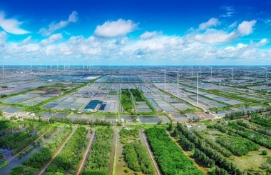 Đầu tư trực tiếp nước ngoài trong lĩnh vực công nghiệp chế biến, chế tạo tại Việt Nam: Đánh giá thực trạng và một số khuyến nghị