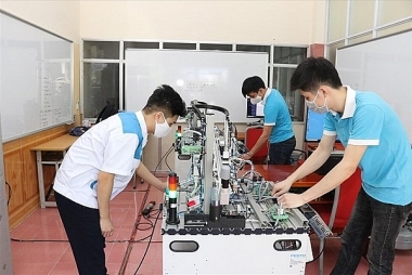 Năng lực thuận hai tay của tổ chức: Lý thuyết và khuyến nghị thực tiễn cho Việt Nam