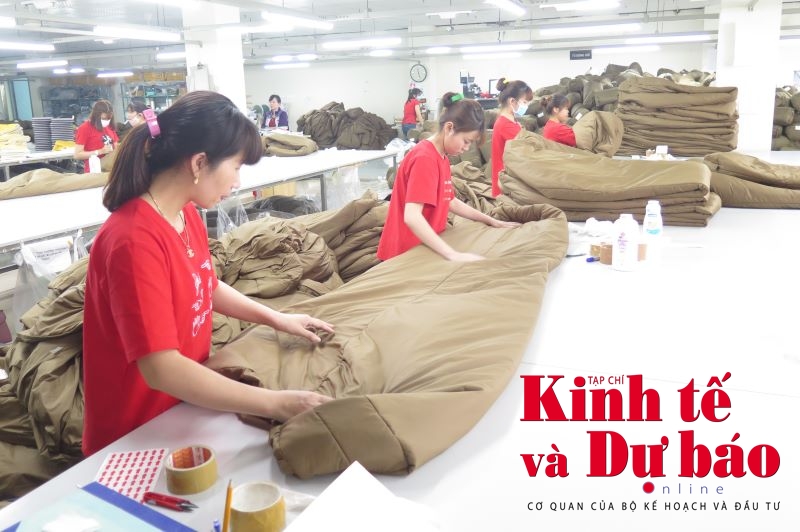 Thu thuế năm 2023 đối diện với áp lực lớn Thu thuế năm 2023 đối diện với áp lực lớn