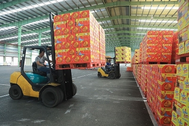 Chứng nhận Halal và xuất khẩu sản phẩm đồ uống của doanh nghiệp Việt