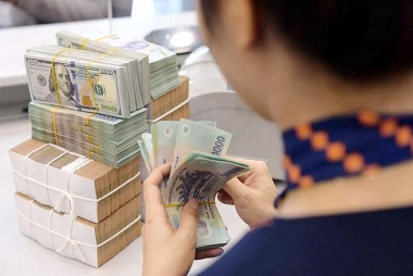 Chính sách tài khóa, tiền tệ hỗ trợ góp phần thúc đẩy tăng trưởng kinh tế cao trong năm 2024 và đề xuất giải pháp cho năm 2025[1]