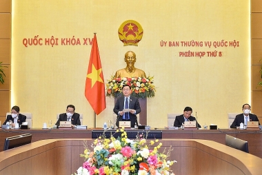 Cần giải quyết dứt điểm những vụ việc khiếu nại, tố cáo nổi cộm