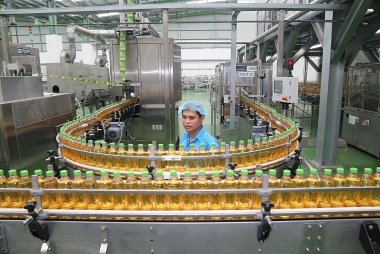 Chinh phục tập đoàn “trăm tuổi” của Nhật Bản, Tân Hiệp Phát đưa đồ uống Việt ra thế giới