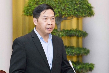 Vi phạm hành chính trong lĩnh vực Kiểm toán Nhà nước bị phạt nặng nhất là 100 triệu đồng