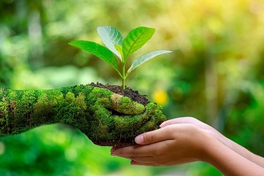 Tăng cường trách nhiệm báo cáo môi trường tại các nền kinh tế đang phát triển