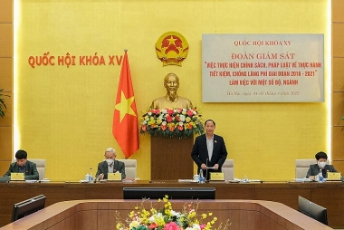 Giám sát Thanh tra Chính phủ về thực hành tiết kiệm, chống lãng phí