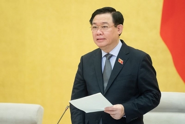 Tránh tình trạng “trong một rừng luật không biết vận dụng thế nào…”