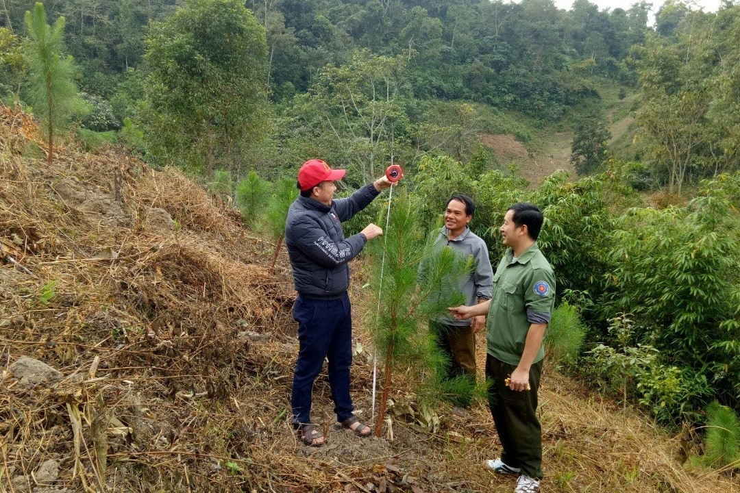 Quỹ bảo vệ và Phát triển rừng tỉnh Điện Biên Quỹ bảo vệ và Phát triển rừng tỉnh Điện Biên